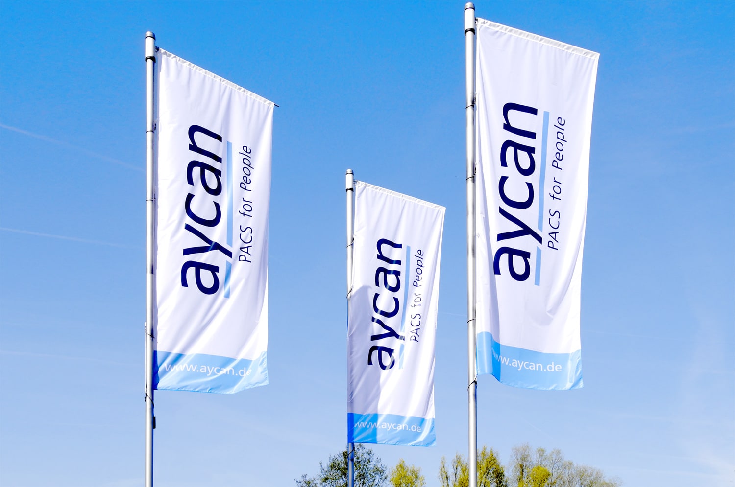aycan Medical Systems corporate flags