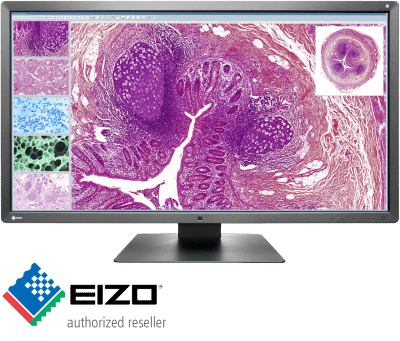aycan EIZO medical diagnostic monitors